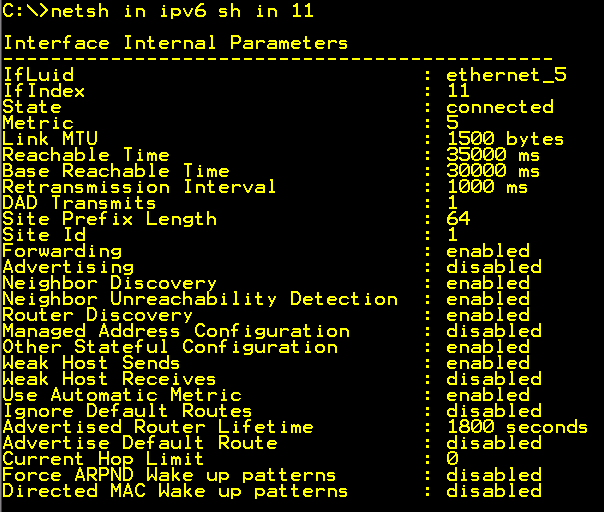 UAG-netsh-in-ipv6-sh-in-11 netsh in ipv6 sh in 11 - Internal interface